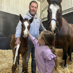 Breednet Gallery - Spirit Of Boom Musk Creek Farm, Vic