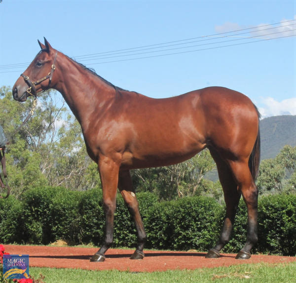 Raheen Stud - MM Gold Coast Yearling Sale Lot 1157