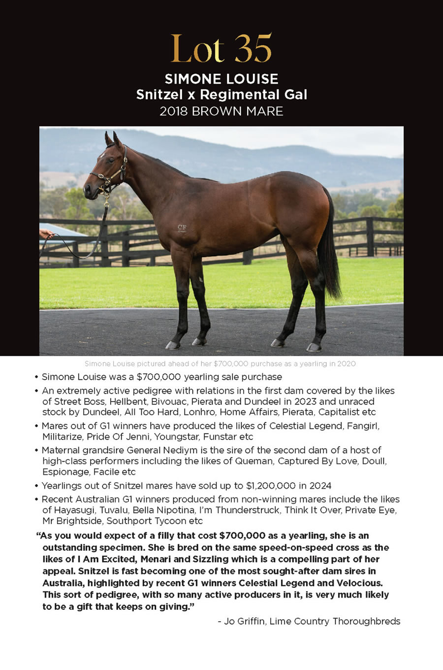 Lime Country Thoroughbreds - Chairman's Sale Lot 35
