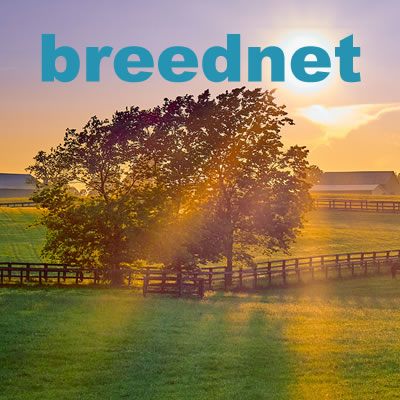 www.breednet.com.au