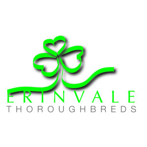 Erinvale Thoroughbreds