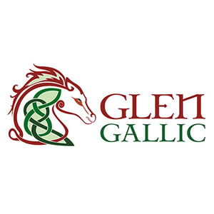 Glen Gallic Stud