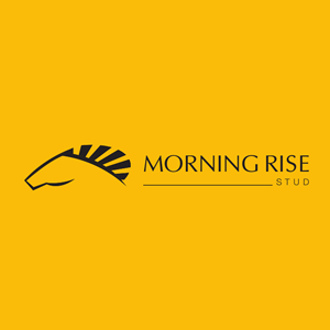 Morning Rise Stud