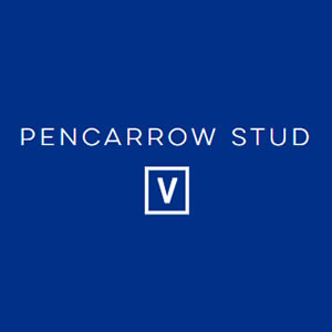 Pencarrow Stud