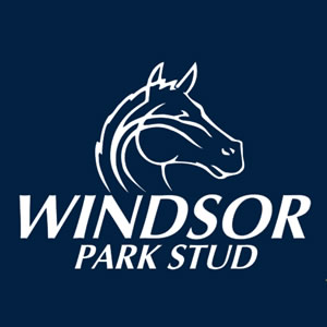 Windsor Park Stud