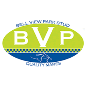 Bellview Park Stud