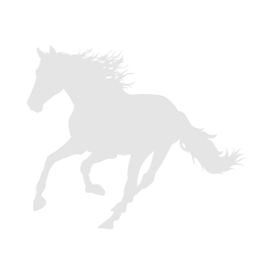 Alexia Fraser Bloodstock