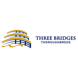 Three Bridges Thoroughbreds