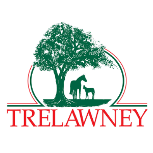 Trelawney Stud