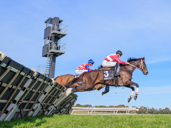 Affluential wins the Grand National at Sandown on Sunday - image Grant Courtney 