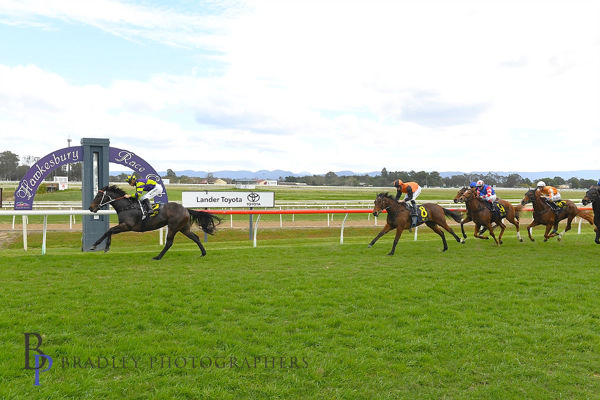 Agenda Setter in a breeze (image Hawkesbury RC/Bradley Photography