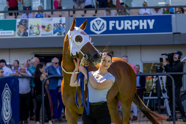 Aitch Two Oh (image Magic Millions)