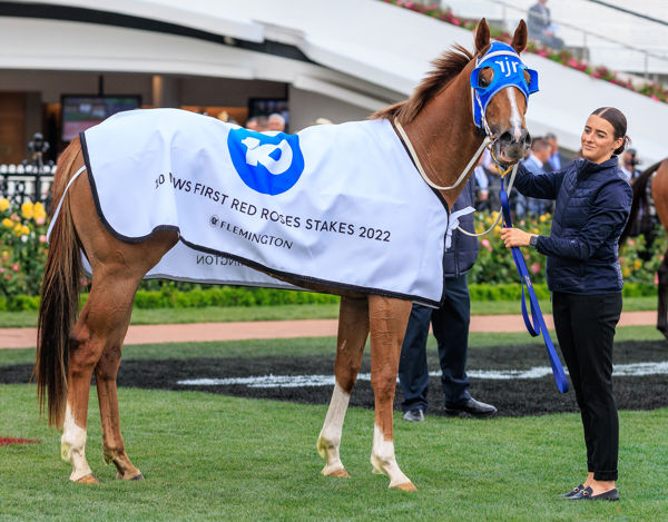 Second stakes for Aitch Two Oh (image Grant Courtney)
