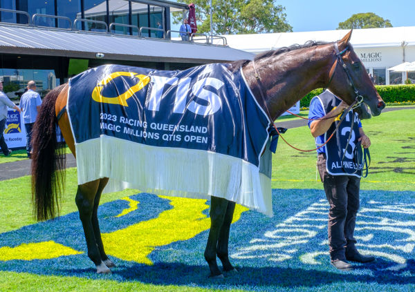 Alpine Edge won $1.8million and was a winner on Magic Millions Day at the Gold Coast in 2023 - image Grant Courtney