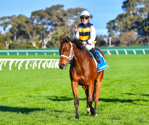 What a warrior (image Pat Scala/Racing Photos)