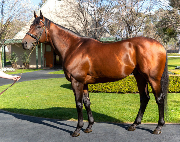 American Pharoah is on the Coolmore roster for 2022.