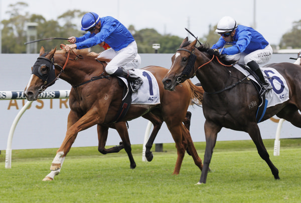 Amur rallies to beat stablemate Inhibitions (image Steve Hart)