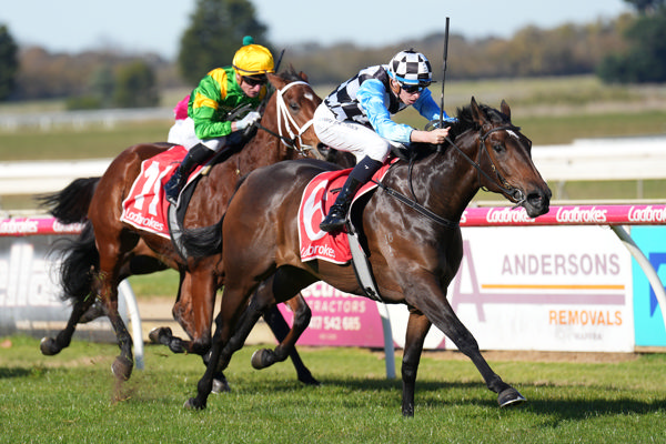 Another Prophet strides clear (image Scott Barbour/Racing Photos)