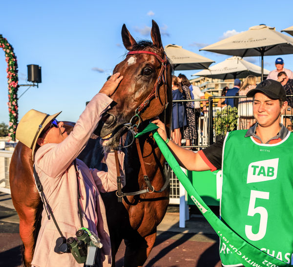 Well deserved pat from grateful trainer (image Grant Courtney)