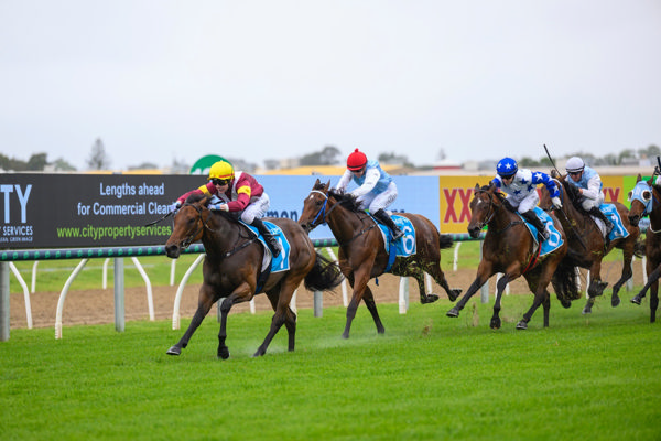 A different class (image Racing Queensland/Michael McInally)