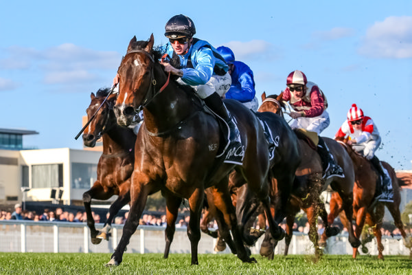 Asfoora won the G3 McCafe Stakes at her last start - image Grant Courtney 