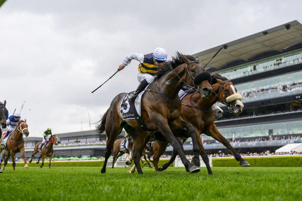 Athabascan toughs it out (image Steve Hart)