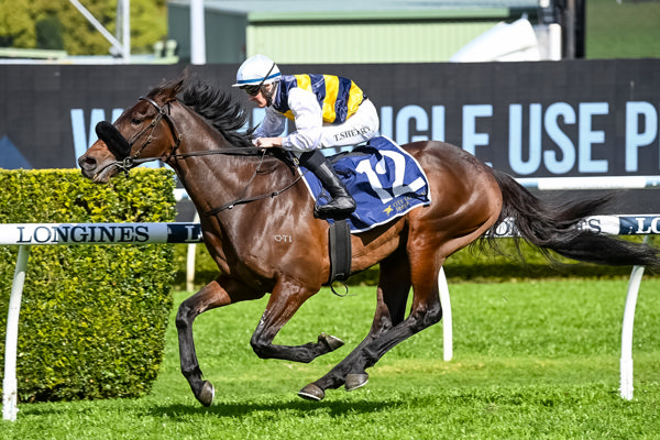 Athabascan (FR) opens his Australian account (image Steve Hart)