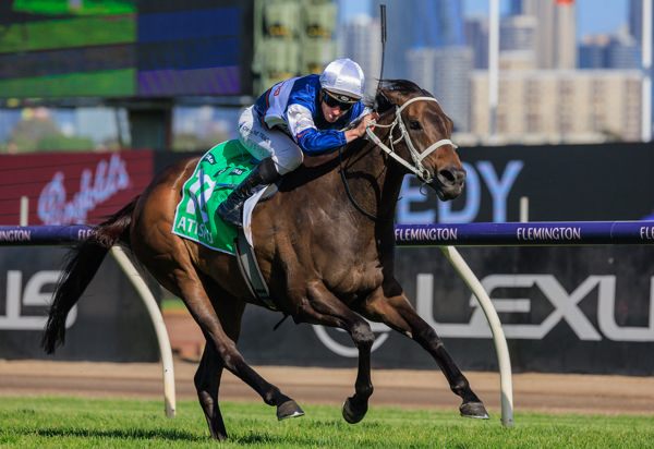 Atishu claims her second G1 at Flemington - image Grant Courtney