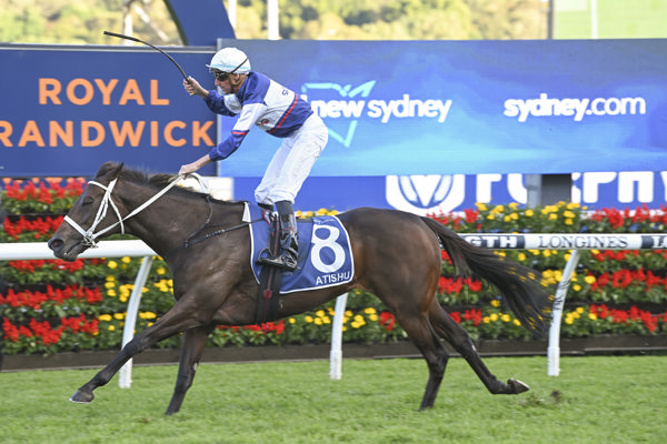 Atishu won the G1 Queen of the Turf stakes during the autumn -  image Steve Hart