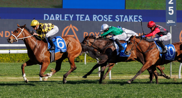 Autumn Glow a class above (image Inglis)