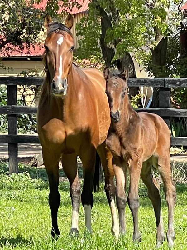 Baby Ryan and his new mum.