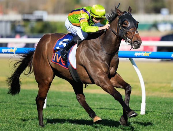 Band Of Brothers takes the quantum leap in Vain Stakes (image Grant Courtney)