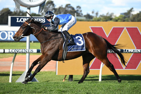 Bandersnatch  goes wire to wire in Civic Stakes 9image Steve Hart)