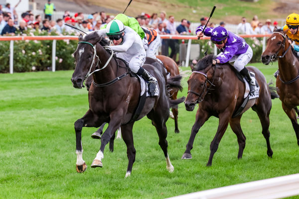 Bank Maur deserved that one (image George Sal/Racing Photos)