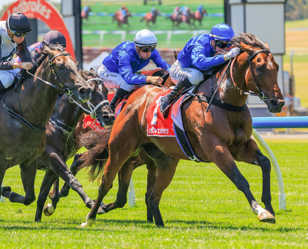 Jamie Kah guides Barber to victory in Blue Diamond Prelude (image Grant Courtney)
