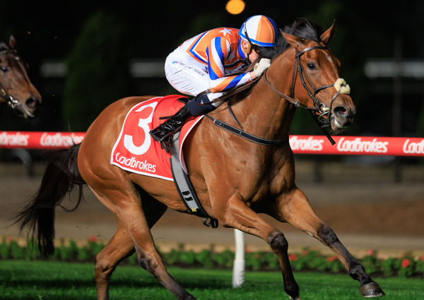 Bellatrix Star has been on fire in her first Aussie preparation - image Grant Courtney