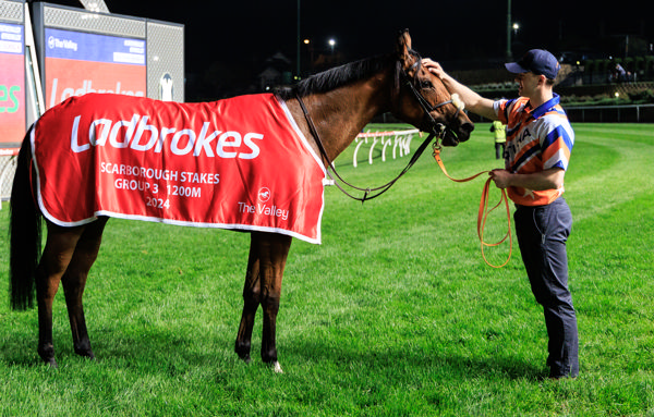 That's a third stakes win for the Star Witness filly (image Grant Courtney)