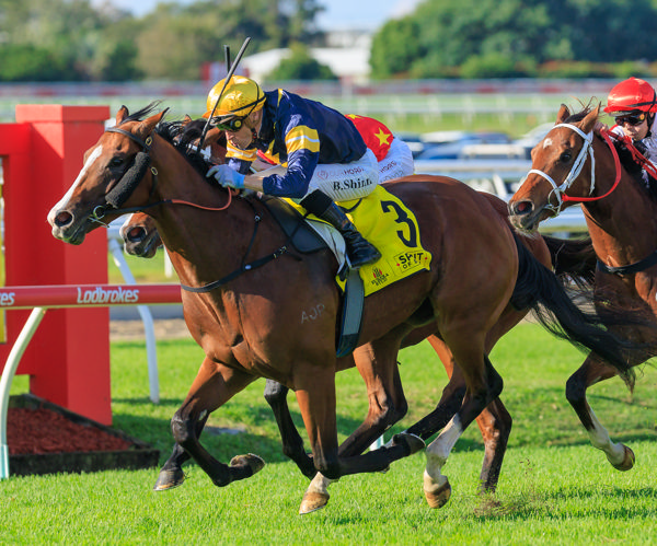 Bittercreek chooses the right spot to break his maiden (image Grant Courtney)