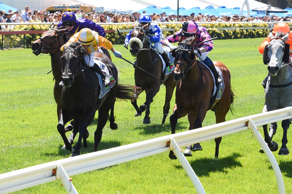 Tough win (image Pat Scala/Racing Photos)