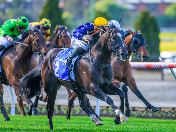 Blue Stratum gets the job done (image Grant Courtney)