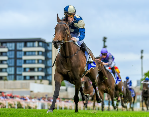 Bold Bastille won the Inglis Banner in 2023 - image Grant Courtney