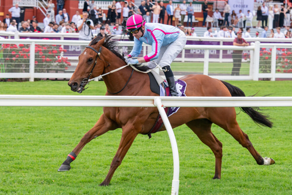 Bravo Centurion barely breaks a sweat (image Perth Racing/Western Racepix)