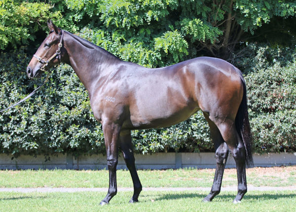 Brazen Style a $250,000 Easter Yearling