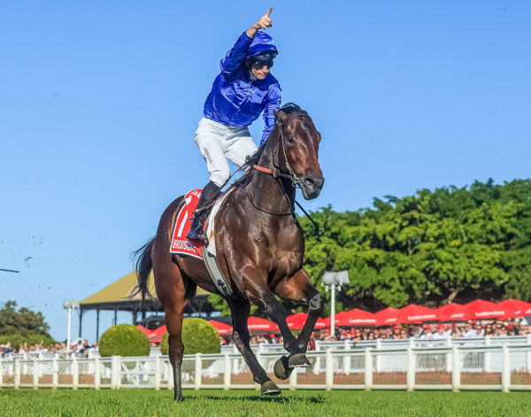 Too Darn Hot (GB) colt Broadsiding holds an entry for the Cox Plate - image Grant Courtney