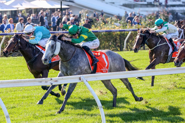 Brosnan strong to the line (image George Sal/Racing Photos)