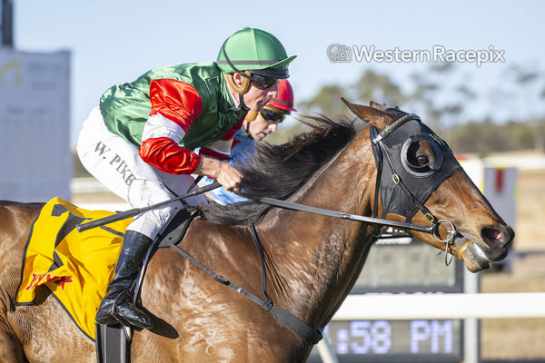 Buckets Ridge powers to the line (image Western Racepix)