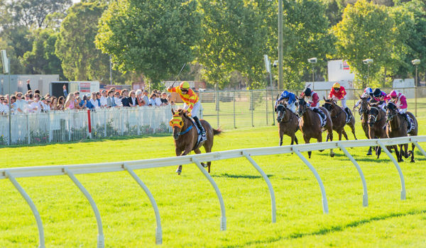 Buster Bash romps in Perth Cup (image TABtouch)