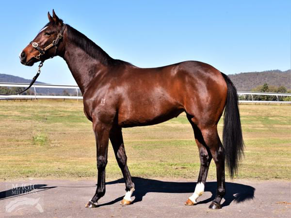 Campionessa a $60,000 Magic Millions National yearling