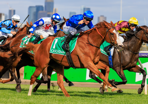 Cascadian is a crowd pleaser for Godolphin in Australia - image Grant Courtney