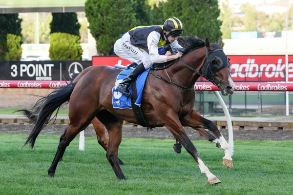 Cash off to a winning start (image George Salpigtidis/Racing Photos)